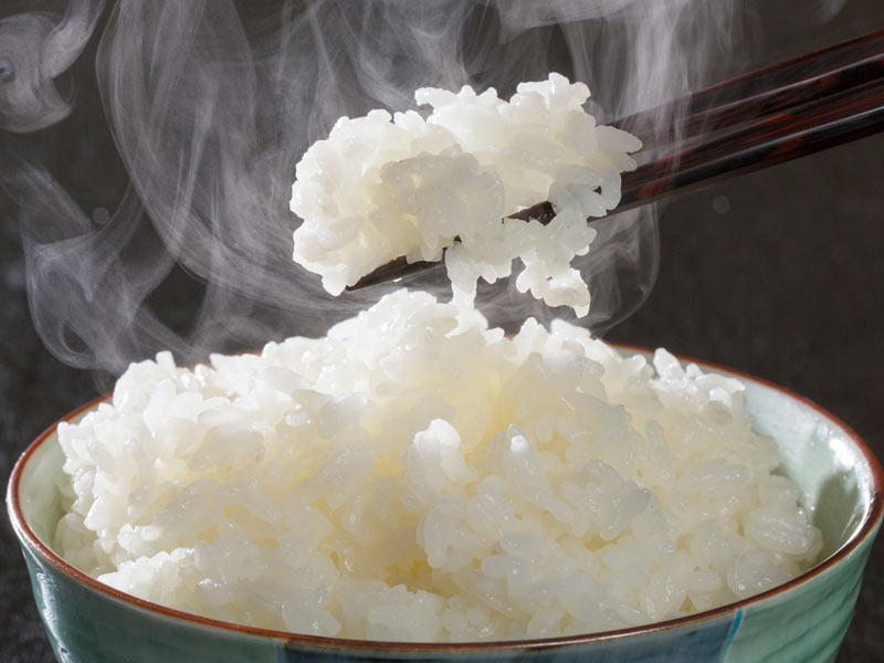 塩ご飯