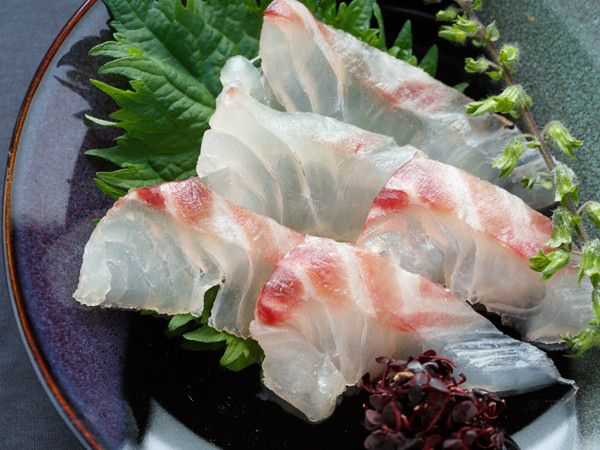 鯛の刺身